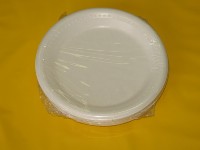 Foam Plates