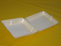 Foam Container